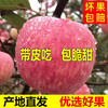 Erdie Shaanxi Red Fuji Apple Fresh Fruit 10 Jin Rock Candy Heart Seasonal Ugly Apple Seasonal Fruit Crisp Sweet Whole Box Selected 9 Jin Pack Net Weight 8.5 Jin 80-85mm