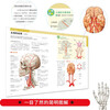 New 3D human anatomy diagram, human muscle anatomy, sports anatomy, section atlas, anatomy book textbook, professional basics of health anatomy and physiology, medical book anatomy atlas, more than 200 full-color precision atlas, human anatomy book
