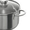 Zwilling Nova24 soup pot stew pot + 24cm double-ear steamer glass lid steamer glass lid steamer 24cm