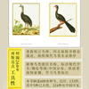 Retro Art Museum Series Xinhua Bookstore Genuine Free Shipping 07 Birds Chirping French Royal Botanical Garden Bird Illustrated