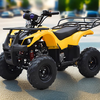 Langchuang ATV110cc big and small bull ATV four-wheel off-road motorcycle kart adult fuel all-terrain vehicle yellow 110cc horizontal engine