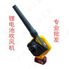 Hair dryer 12V 24V 220V high power fan harvester special dust blower truck filter dust collector 220V hair dryer +1000w