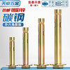 Tianzhuo Hardware National Standard External Hexagonal Internal Expansion Screws Complete Collection Built-in Explosion Implosion Floor Explosion Bolts M6M8M10M12 National Standard M8*100 5 pcs. Punch 10mm