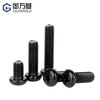Guwanji black 304 stainless steel cross round head screws, pan head bolts, screws, extended fastener accessories, M3x8 50 pieces