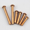Test-GB867 copper semi-circle rivet semi-circle head red copper rivet round cap solid copper rivet M2M2.5M3M4M5 2*3 100 pieces