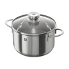 Zwilling Nova24 soup pot stew pot + 24cm double-ear steamer glass lid steamer glass lid steamer 24cm