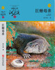 Animal novel king Shen Shixi's collection of books series new edition (a total of 12 volumes in the orange and blue special edition set) children's literature story book extracurricular reading original set for primary school students
