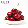 JOYVIO Australian Tasmanian cherries 3J grade 1kg gift box, fruit diameter about 30-32mm, straight from the source