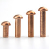Test-GB867 copper semi-circle rivet semi-circle head red copper rivet round cap solid copper rivet M2M2.5M3M4M5 2*3 100 pieces