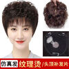 Tangni's head replacement hair piece female wig piece short curly hair mother middle-aged and elderly hair set textured perm artificial hair to cover white hair fluffy artificial hair textured curly hair 12*12 brown black needle top