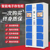 Spurge Electronic Bag Storage Cabinet Smart Storage Cabinet Mobile Phone Storage Cabinet Shopping Mall Locker Self-service Scanning Cabinet 24 Doors Face Recognition Fruit Green