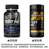 MUSCLETECH Testosterone Boosting Capsules Testosterone Enhancement Supplement Testosterone Muscle Gaining Fat Loss Sports Fitness Imported from the United States Black Gold Testosterone Boosting Tablets 90 Tablets/Bottle