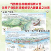 Amazing! Chinese roads, Chinese bridges, Chinese cars, Chinese Hong Kong (4 volumes) children's popular science book set