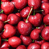 JOYVIO Australian Tasmanian cherries 3J grade 1kg gift box, fruit diameter about 30-32mm, straight from the source