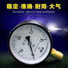 Pressure gauge Y100 ordinary Y60Y150 radial thread M20 hydraulic oil pressure air pressure gauge 0-6Mpa Y-100