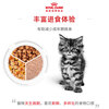Royal Cat Food Kitten Wet Food Soft Pack Cat Canned KGP General Food 4-12 Months Soup Meat Cubes 85G*6 Imported
