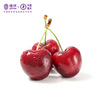 JOYVIO Australian Tasmanian cherries 3J grade 1kg gift box, fruit diameter about 30-32mm, straight from the source