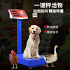 Yongcai (YONGCAI) weighing electronic scale, commercial scale, high-precision electronic scale, charging platform scale, household foldable scale, stall business scale, vegetable selling price counting scale, express scale, industrial scale, 300 kg, 40*50 steel key, LCD black characters, ultra-thick frame, rough plate