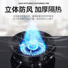 Qingshan Air Gas Stove Windproof Cover Fire Gathering Cover Universal Thickened Gas Stove Fire Gathering Ring Double-layer Stove Home Natural Gas Gas Stove Windproof Cover (Four Openings Black)