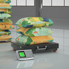 Yongcai wireless electronic scale commercial weighing platform scale rechargeable floor scale portable hand-held electronic scale pricing scale stainless steel large table scrap collection stall logistics express scale 300KG widened 42*52 carbon steel anti-slip pattern wireless electronic scale