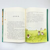 Bing Xin Award-winning author's fine book series (10 volumes in total) extracurricular readings for primary school students, books for 11-14 years old, children's literature books for grades 4, 5 and 6