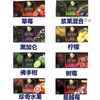 Shifangyi imported Russian flower and fruit tea, fruit tea, hard work princess new packaging, sugar-free tea bag, cranberry