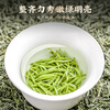 Chengxi Lake Green Tea Xinyang Maojian Tea 250g New Tea Mingqian Young Buds Spring Tea Gift Box New Year's Day Gifts for Elders