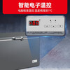 Xingx (XINGX) - 60 degree deep cooling series direct cooling single temperature horizontal quick freezing freezer commercial electronically controlled refrigeration and freezing conversion stainless steel liner energy saving subzero household temperature freezer freezer - 60 deep freezer 300 liters DW-60W300DS