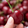 Detective Xianxian imported large cherries from Chile, next-day delivery to multiple locations, fresh fruit optional gift box, 1250g (net weight), Big Mac 3J 30-32mm, 3kg box, gift box
