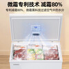 Xingx (XINGX) 140L single temperature household small freezer large capacity frost reduction preservation fresh taste energy saving first class energy efficiency refrigerator refrigeration and freezing dual-use freezer BD/BC-140QJ national subsidy