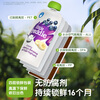 Little Freddie multi-flavor children's room temperature yogurt and fruit puree 100g*10 bags, fermented milk prune puree, baby yogurt and fruit puree