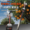 Bailino brushless electric pruning shears rechargeable electric scissors pruning machine lithium electric shears for high branch pruning garden fruit trees 21V professional model 10 cells three batteries (12-14 hours)