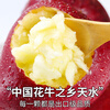 Jingdida Gansu Tianshui Huaniu apple, net weight 4.5 catties, single fruit 210g, pink apple noodles, apples shipped directly from the source, free shipping