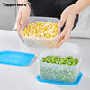 Tupperware frozen 700ml*2 food-grade refrigerator storage box meat quick-freezing quick-unsealing random color