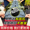 Original starting point balcony roof vegetable planting box rectangular vegetable planting box artifact vegetable pot vegetable box plastic flower box outdoor balcony entry model 80cm long two-joint box