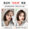 Baisitang four-season wig, female real hair, medium-long hair, full real hair, top replacement hair piece to increase hair volume, real hair, cover gray hair
