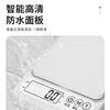 Pilot Electronic Scale Kitchen Scale Food Baking Scale Gram Scale Traditional Chinese Medicine Scale Coffee Scale Jewelry Scale Battery Model 0.1g/5kg