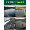Yichen fish pond anti-seepage membrane geomembrane fish pond slope protection waterproof membrane breeding plastic membrane reservoir waterproof plastic cloth 3 meters wide 3 meters long 0.3mm thick