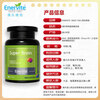 EnerVite Cerebralol 90 Capsules Highly Concentrated Schizochytrium Oil DHA Lecithin Phosphatidylserine Replenishes the Brain and Activates Whole-Brain Development
