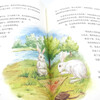Rabbit Slope Hardcover International Award Children's Literature Art Collection Edition 7-9-10-12 Years Old Readings Extracurricular Reading Books for Primary School Students in Grades 3, 4, 5, and 6 World Classics Winter and Summer Vacation Must-read Books for Teenagers