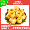 Jingxiansheng Shandong Venus apple net weight 3 catties single fruit 200g fresh fruit direct from the source with free shipping