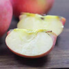 In stock, Northeastern fresh cold-rich apples, Dalian, Liaoning, straight-haired, sour, sweet and crisp fruits for pregnant women, free shipping, 5 pounds per box, 85-90mm