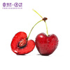 JOYVIO Australian Tasmanian cherries 3J grade 1kg gift box, fruit diameter about 30-32mm, straight from the source
