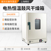 Jinghong Jinghong DHG-9038A/9108A/9148A Electric constant temperature blast drying oven High temperature oven DHG-9038A