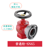 Zhongke Shenlong fire valve SN65 indoor plug flushing plug pipe switch W pressure reducing and stabilizing plug 2.5 inch fire hydrant head 2 inch faucet 1.6mpa SN65 ordinary indoor plug