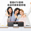 SANSUI T73 karaoke speaker home KTV audio full set of power amplifier all-in-one machine home karaoke artifact TV audio living room karaoke three-dimensional surround wireless Bluetooth speaker wood grain