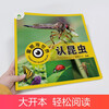 Amity Children's Children's Eyes View the World and Recognize Insects. Children aged 3-6 years old see pictures and recognize objects. Kindergarten enlightenment puzzle early education picture book. Encyclopedia of Insects. Full set of color pictures and phonetic version.