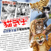 Samurai Cat Part 4, Lei Guang Po Yun, children's animal novels, extracurricular reading books for primary and secondary school students, must-read Cat Samurai series original growth animal novel story books