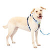 PetSafe pet harness, anti-pull training, full body cushion, 5-point adjustable, suitable for large dogs, nylon blue