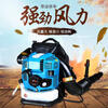 Gasoline hair dryer, greenhouse snow blower, portable wind fire extinguisher, Dowshwell EB850 high power blower, four-stroke backpack snow blower